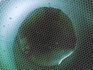 4、魔芋烧鸭,热锅冷油