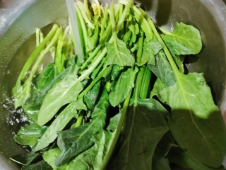 3、凉拌菠菜粉丝,菠菜择洗干净 