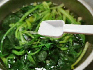4、凉拌菠菜粉丝,用开水汆烫  水中加入2克盐
