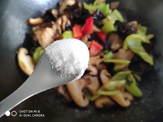 13、酱爆香菇木耳肉片,加入小半勺盐。盐的多少根据个人口味添加。