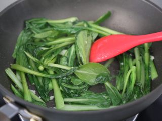 12、清炒菜心,继续炒至断生