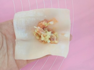 11、白菜猪肉小馄饨（内附馄饨四种详细包法）,第三种办法，肉馅也放馄饨皮中间