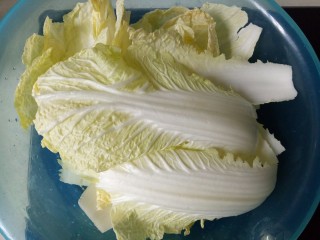 2、大白菜炖粉条,将白菜清洗干净
