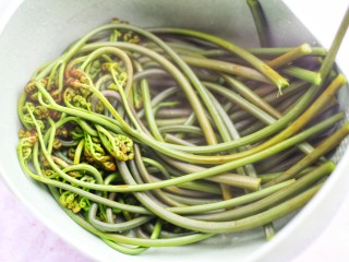 4、鲜嫩可口的凉拌蕨菜,捞出过凉