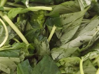 1、蒜香薯叶,红薯叶切段