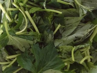 2、蒜香薯叶,洗净