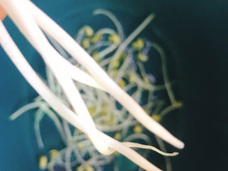2、韭菜炒豆芽,摘去根部