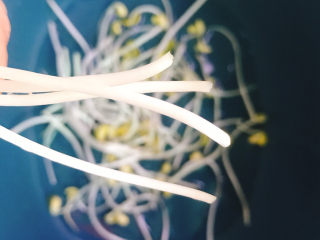 3、韭菜炒豆芽,这样了