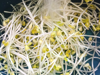 4、韭菜炒豆芽,冲洗干净