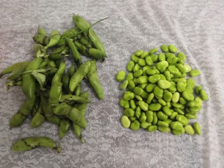 1、豆瓣蒜苗蛋,把蚕豆壳，剥去