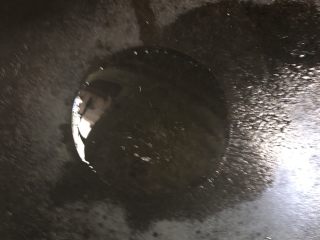 11、卷心菜炒粉丝,锅内放入适量油烧热