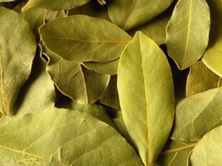 9、秘制陕西正宗凉皮专用辣椒油（绝密秘方）,香叶