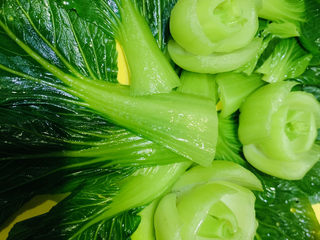 14、蒜蓉小油菜,油菜根部，放在上面；