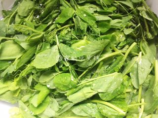 1、上汤豌豆苗,豌豆苗掐去老头、老叶，洗净备用。