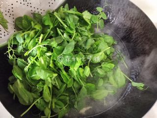 8、上汤豌豆苗,水开后加入豌豆苗。