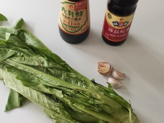 1、蚝油油麦菜,准备食材