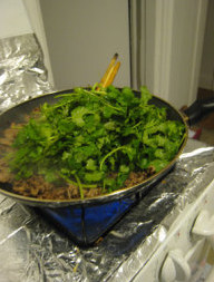 4、香辣肥牛,待肉片基本变色,撒入糖,下入香菜