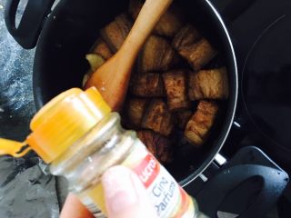 6、红烧肉,加入适量五香粉，事先准备的八角桂皮