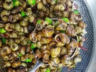 6、麻辣螺丝,麻辣田螺做好