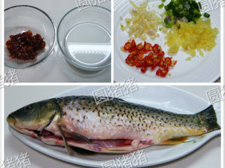 1、四川豆瓣鱼,所需食材