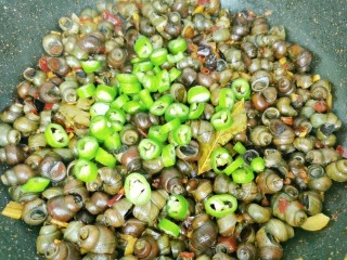 12、麻辣田螺,倒入线椒翻炒