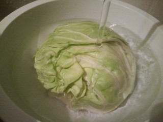 4、厨房挑战+素菜+家常素炒,也加点盐，流水冲洗每片叶子