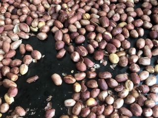 1、宜宾燃面,花生米放入烤箱，150度，烤脆，放入炒锅炒也行，炒的话火不能太大，不停翻炒，花生米微微变黄就立即离火，盛入盘子放凉，放凉后自然就脆了