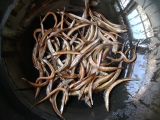 3、辣炒小鱼干,锅里适量油(比平时炒菜量多一点),下入小鱼干,中小火煸炒2-3分钟至酥后沥油捞出备用。