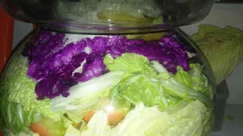 健康素食会呼吸的四川泡菜