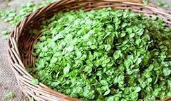 1、醋味榆钱饭,1榆钱洗干净，在阳光下晾晒一会儿，控干水分