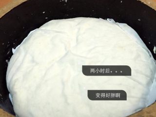 4、第一次蒸包子,两小时后面发起变成了之前的2倍多，变得比之前胖了好多好多