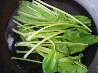 3、快手早餐～菠菜鸡蛋饼,洗干净的菠菜开水下锅焯一下去除草酸