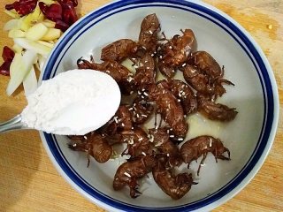 3、香酥蝉蜕 ,在洗净的蝉蜕中加入1勺料酒（10g左右），少许鸡精，1大勺裹炸粉（30g左右）。