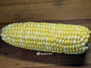 2、南北杏银耳煲猪展,把玉米皮、玉米须清理干净