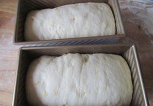 22、体会不一样的口感----绿茶蛋糕面包,约40分钟后， 面团发酵到模具的八、九分满；