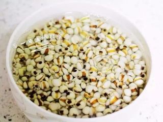 1、绿豆百合薏米汤,薏米洗净后浸泡四个小时以上（可放冰箱泡过夜）。如果你用的百合干，这里也需要泡2个小时。这样做可以大大的缩短煮的时间。