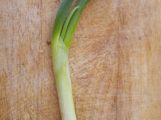 1、葱炒鸡蛋,先准备一根葱