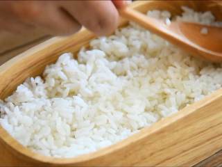 7、出游便当盒—带上便当野餐去啊,便当盒盛入米饭，铺平。