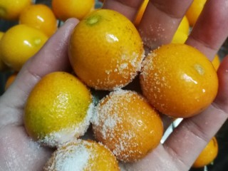 4、糖渍金桔,几个一起，用盐搓搓搓～，搓过以后再冲洗干净