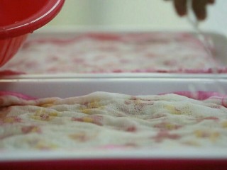 3、发绿豆芽,同样这个也跟上面步骤一样，再盖上一层湿布。