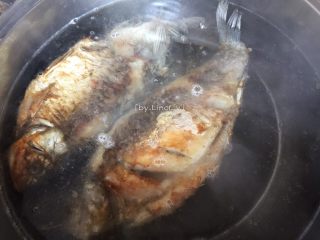 8、鲫鱼豆腐汤,接着放入煎好的鲫鱼