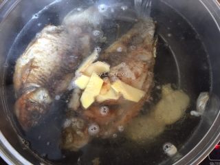 9、鲫鱼豆腐汤,放入生姜片煮开