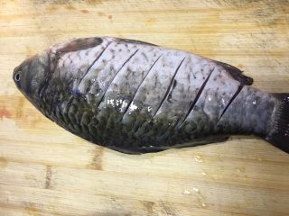 1、一锅俩用，清汤鲫鱼，辣汤重庆火锅,将鲫鱼洗净后去鳞片背部划花刀