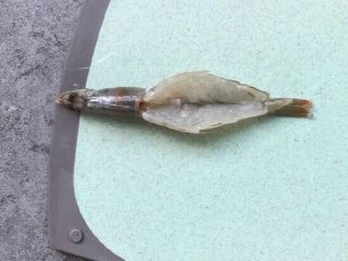 4、蒜蓉粉丝蒸虾,开背去虾肠（方法：在第三个关节用牙签挑起虾肠）