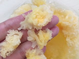 6、养颜银耳羹,处理好黄黄的蒂后将雪耳撕成小块