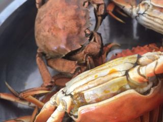 6、清蒸大闸蟹,放入盆里 开始扒螃蟹????️ 扒扒扒   想吃盘锦正宗稻田蟹  加VX：liye19811202    暗号：吃货 ????????????