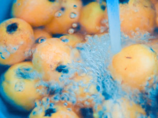 2、枇杷糕,枇杷洗净。