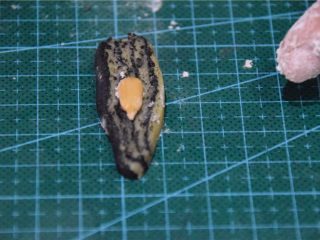 19、舌尖3栩栩如生瓜子酥（低粉版）,在其中的一片上放上瓜子仁。我这个太小了，大家准备大一点的瓜子仁。这张图有种莫名的喜感，哈哈哈O(∩_∩)O哈哈~