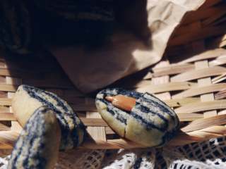 22、舌尖3栩栩如生瓜子酥（低粉版）,烤箱温度175度，10分钟左右就好了，因为非常小所以一定要看一下免得烤糊了。