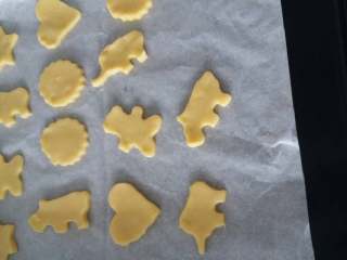 5、烤箱版自制小动物饼干,烤盘铺上油纸，放上饼干